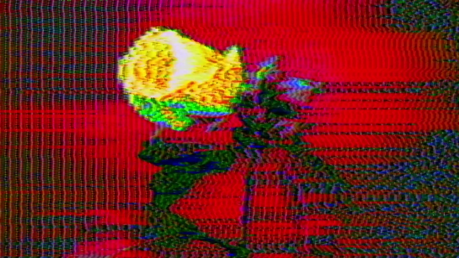Marc Eckō × Dear1993 still